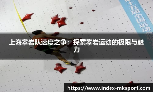 上海攀岩队速度之争：探索攀岩运动的极限与魅力